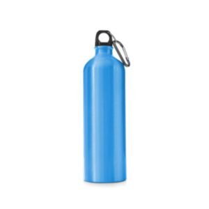 Blue - Stainless Steel - Travel Bottle