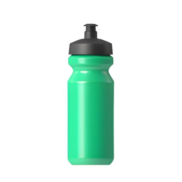 Pale Green - Sports Bottle